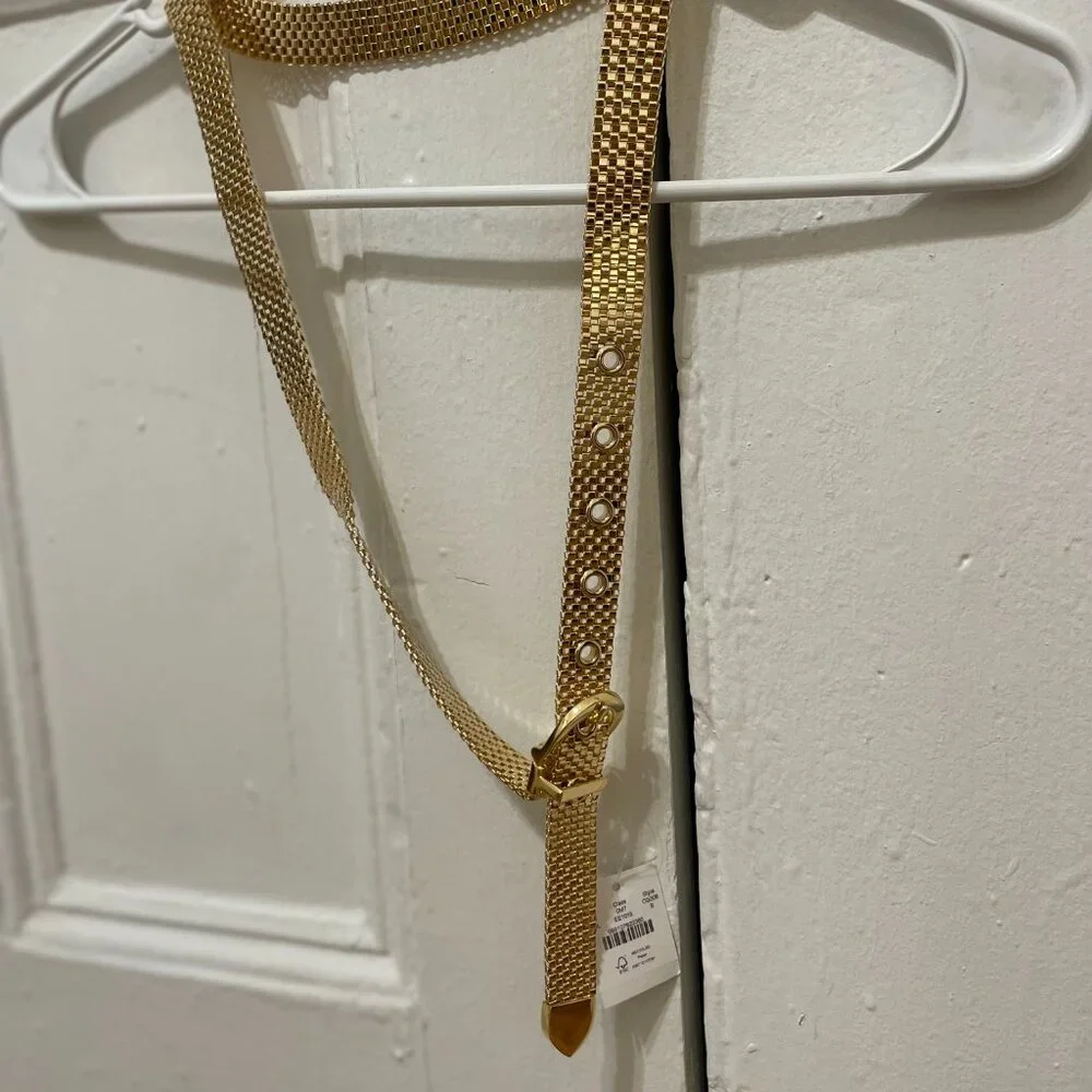 J. Crew gold watchband chain belt - Picture 2 of 3